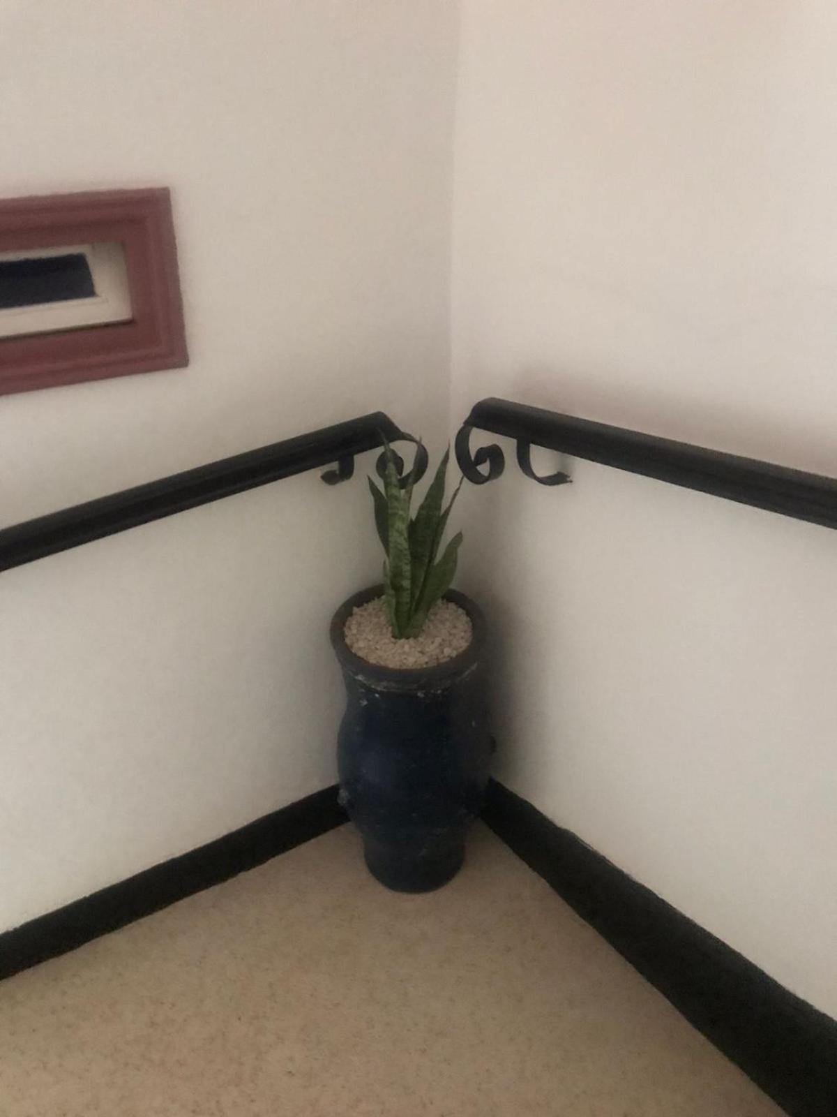 Hôtel Riad Gnaoua Essaouira Buitenkant foto